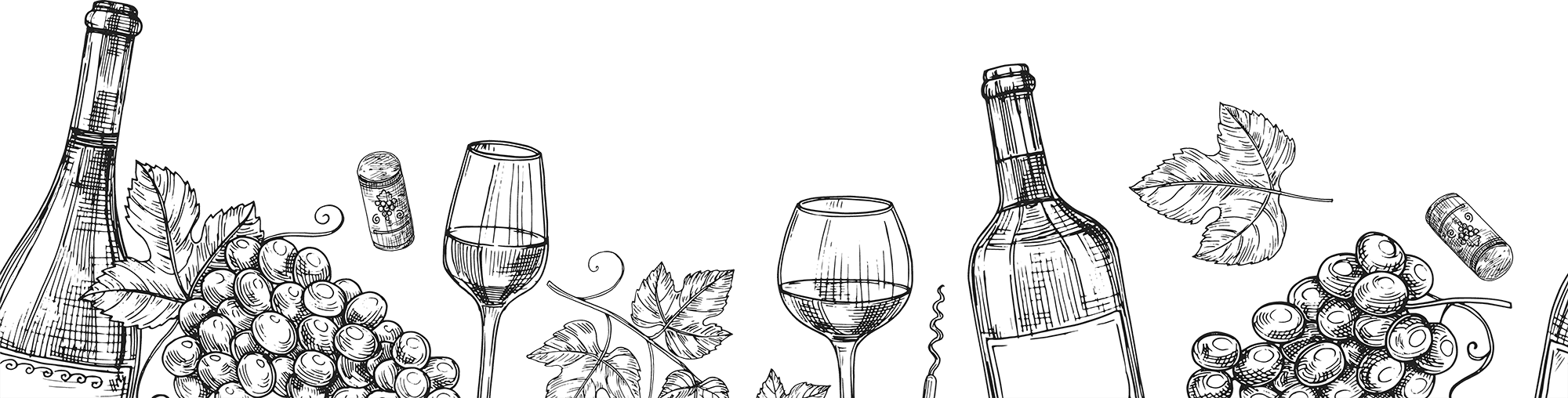 Wine Sketch